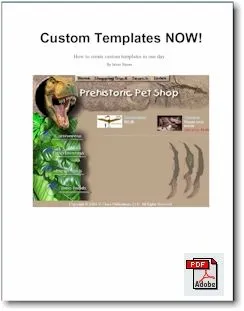 Custom Templates NOW! (e-book) - Click to enlarge