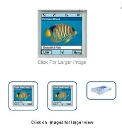Multiple Product Images for Turbify Stores - Click to enlarge